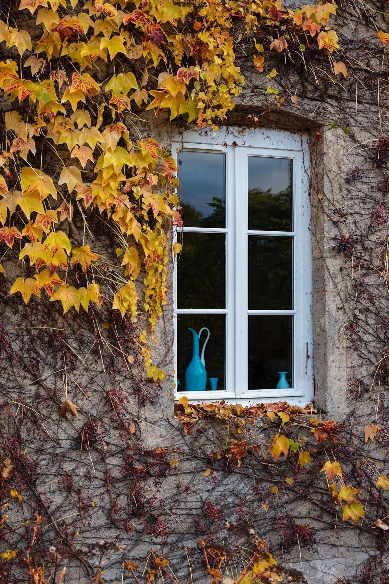 Moulin Renaudiots - Maison D'Hotes Autun Exterior foto